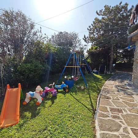 Cozy Istrian House Guest House Изола Екстериор снимка