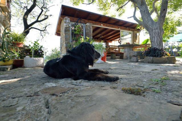 Cozy Istrian House Guest House Изола Екстериор снимка