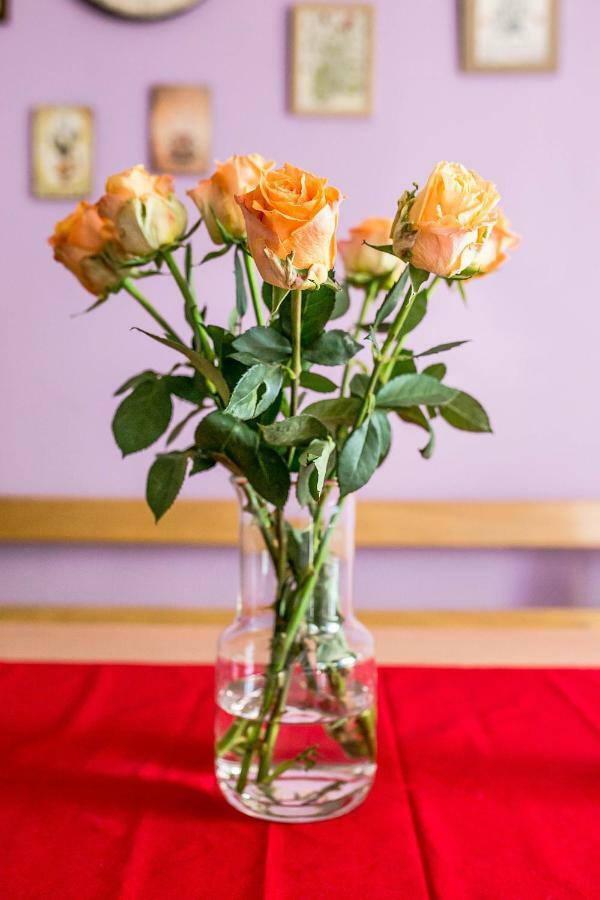Cozy Istrian House Guest House Изола Екстериор снимка