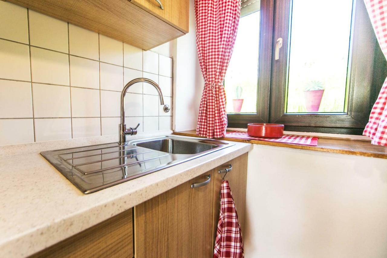 Cozy Istrian House Guest House Изола Екстериор снимка