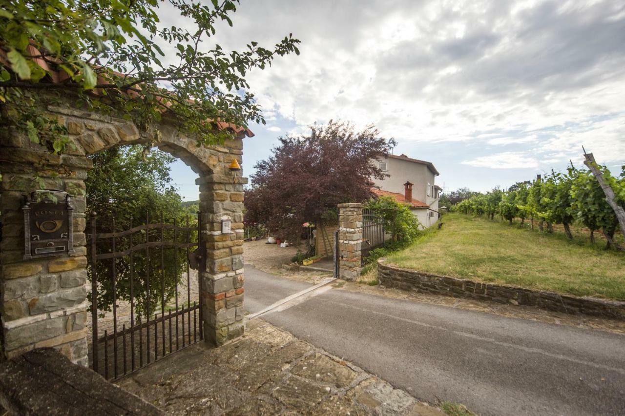 Cozy Istrian House Guest House Изола Екстериор снимка