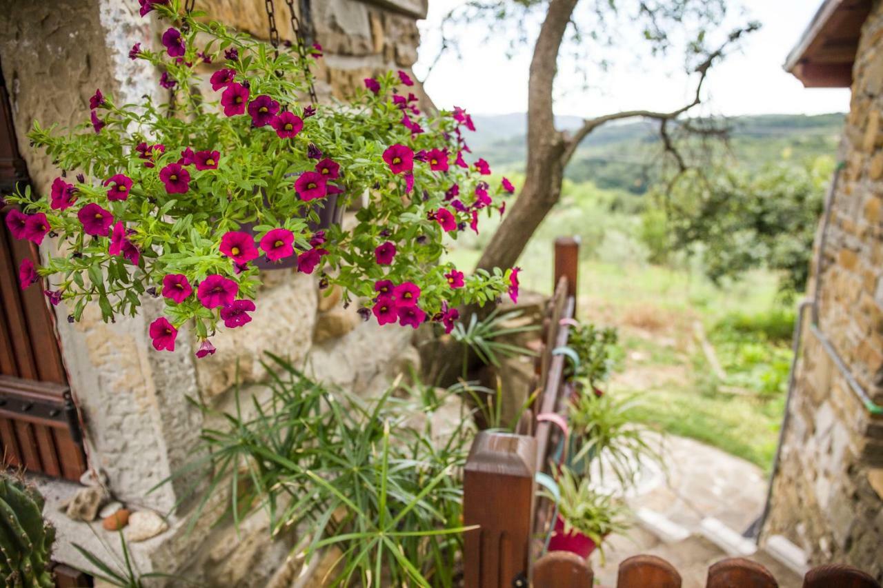Cozy Istrian House Guest House Изола Екстериор снимка