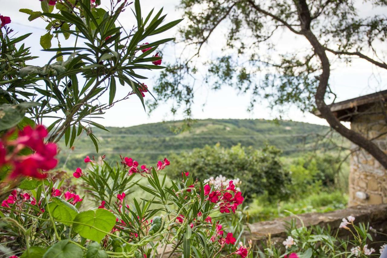 Cozy Istrian House Guest House Изола Екстериор снимка