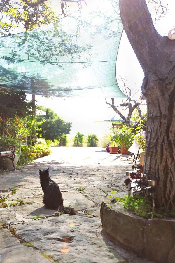 Cozy Istrian House Guest House Изола Екстериор снимка