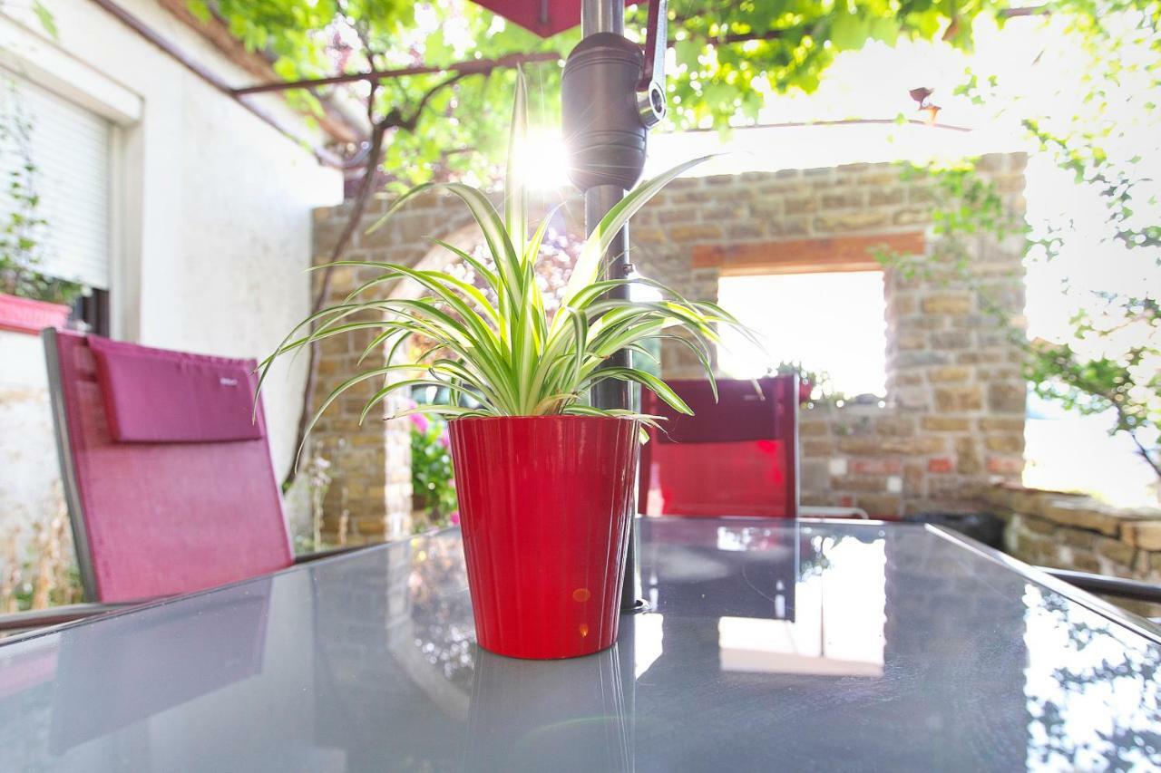 Cozy Istrian House Guest House Изола Екстериор снимка