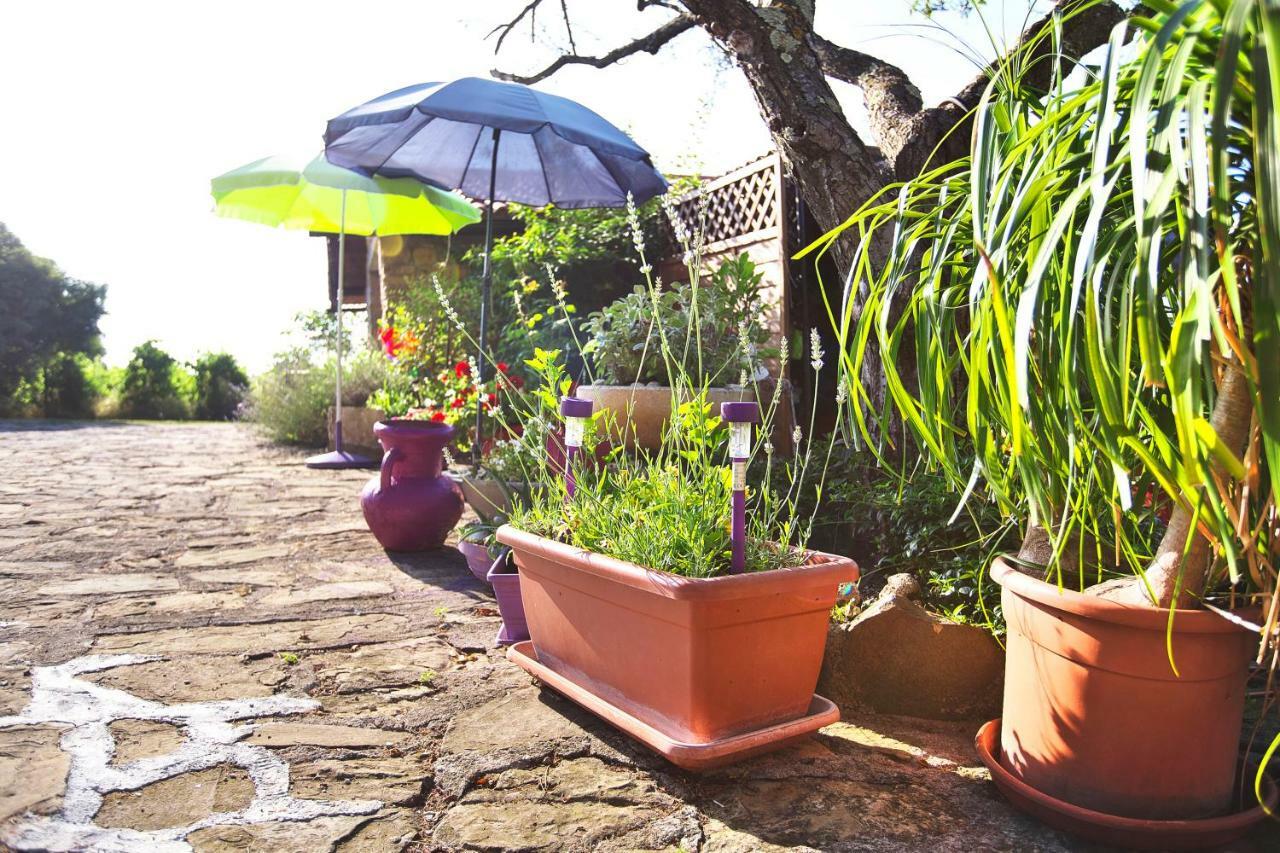 Cozy Istrian House Guest House Изола Екстериор снимка