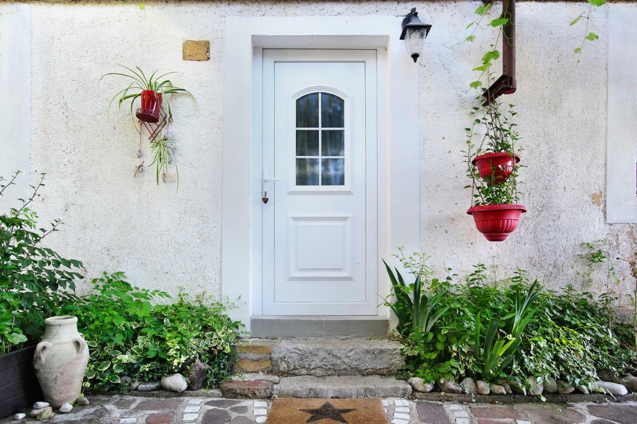 Cozy Istrian House Guest House Изола Екстериор снимка